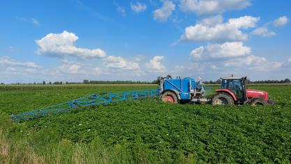 De eerste biopesticiden van BiocSol richten zich onder meer op aardappelziektes.