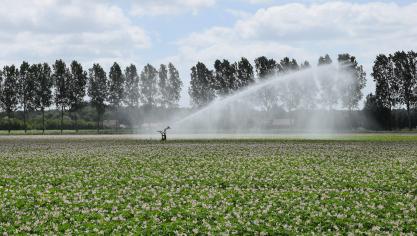 Het Waterloket van Boerenbond moet land- en tuinbouwers bijstaan bij hun watergebruik.