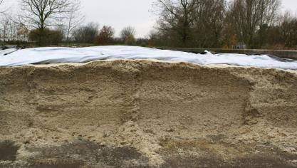 Zowel op het veld als tijdens de opslag kunnen zich schimmels ontwikkelen die mycotoxines vormen.