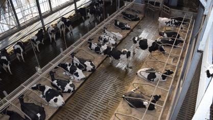 De denkpiste om hier de veestapel drastisch af te bouwen en zo onze voedselproductie uit te besteden aan landen met lagere processtandaarden heeft naast negatieve gevolgen voor duurzaamheid ook geopolitieke gevolgen.