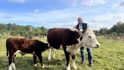 Boer Wiebe koos voor Hereford-runderen om in te zetten als  natuurbegrazers.