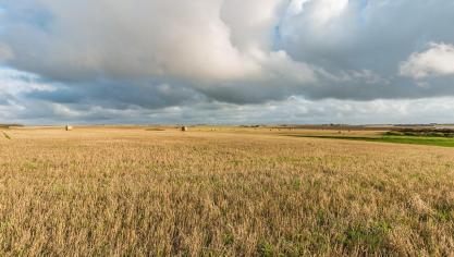 390.000 ha of 15% van de  landbouwoppervlakte in Denemarken moet tegen 2045 omgezet worden  in natuur.