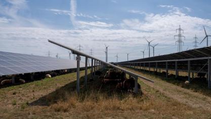 De zonnepanelen komen op open ruimte op de grond, maar laten nog genoeg plaats om bijvoorbeeld schapen te laten grazen.