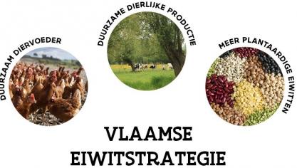 Het eiwitdashboard geeft een permanent en steeds actueel overzicht van de voortgang van de Vlaamse eiwitstrategie 2021-2030.