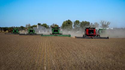 De sojamarkt wordt momenteel gekenmerkt door robuuste exportcijfers in de VS, ideale omstandigheden in Zuid-Amerika, en door een hoge vraag naar sojaolie.