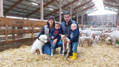 Antoine en Elise met hun 2 zoontjes, Victor en Achille. Ze hebben 1.600 ooien en verkopen hun lamsvlees aan slagerijen, restauranthouders en particulieren.