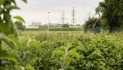 Vanaf 18 december kan je een tegemoetkoming aanvragen voor de schade die je hebt geleden als gevolg van de PFAS-verontreiniging in de regio Zwijndrecht.