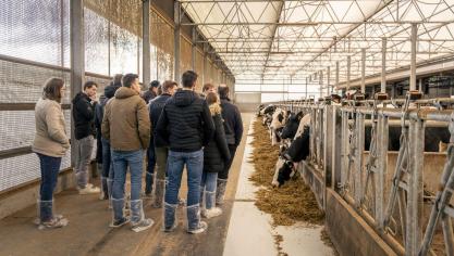 Het beschikbare budget van de Kennisportefeuille kan eenvoudig en flexibel ingezet worden voor de diensten van geregistreerde adviesverleners en vormingscentra