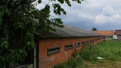 In de toekomst kunnen de varkensbedrijven die hun exploitatie stop hebben gezet, aanspraak maken op een vergoeding voor de afbraak van de oude gebouwen.