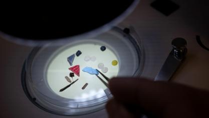 Een recente studie toont voor het eerst hoe groot de vervuiling van Franse landbouwbodems door microplastics kan zijn.