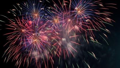 Vooral het geluid van vuurwerk is angstaanjagend voor dieren, omdat hun gehoor veel gevoeliger is dan dat van mensen.