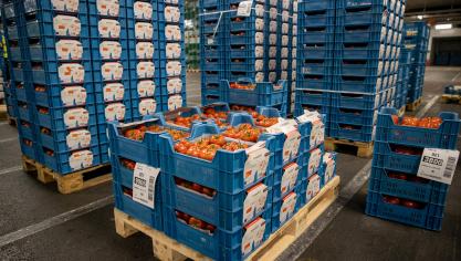 De REO Veiling haalde in 2024 een recordomzet van bijna 250 miljoen euro.