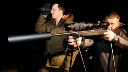 cd&v en N-VA willen dat jagers en bijzondere veldwachters nachtkijkers en geluidsdempers kunnen gebruiken bij de strijd tegen everzwijnen.