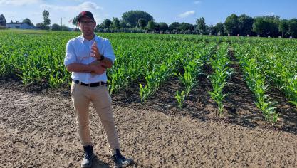 Volgens Thomas Truyen (Limagrain) biedt  het verbouwen van  vroege maïsrassen  de landbouwer meer  zekerheid.