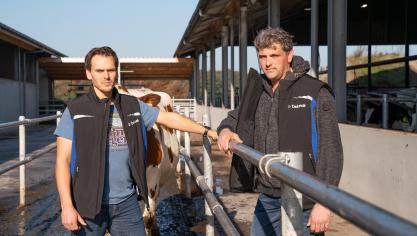 De broers Johan en Willem Loonen kozen voor batch melken op hun bedrijf in de Nederlandse gemeente Merselo.