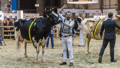 Vreugde bij winst tijdens de prijskampen melkvee in 2023.