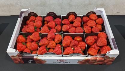 Coöperatie Hoogstraten haalde in 2024 een productomzet van bijna 363 miljoen euro.