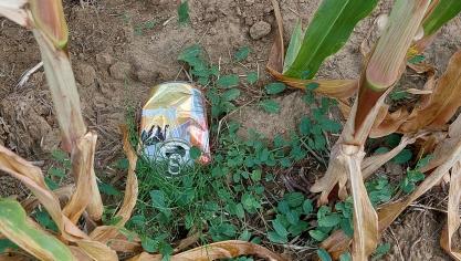 Landbouwdieren kunnen sterven door delen van blikjes en flesjes die in hun voer terechtkomen.