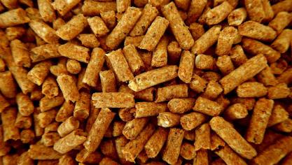 De origine en de samenstelling van het voer bepaalt de klimaatimpact van het stukje vlees op ons bord of de melk die we drinken.
