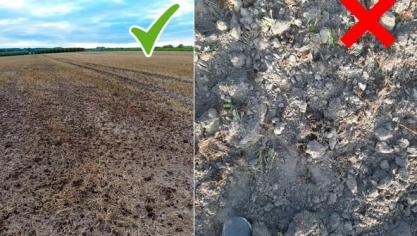 Landbouwers die stalmest of houtsnippers uitrijden of laten uitrijden voor de subsidie ‘Verhogen van het organisch koolstofgehalte’ moeten foto’s nemen als bewijsmateriaal.