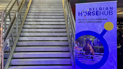 Het platform Belgian Horse Hub werd op Jumping Mechelen gelanceerd.