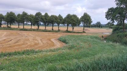Bijna 6.000 ha in Vlaanderen valt dit jaar onder een beheersovereenkomst.