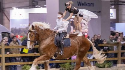 Op Agriflanders toonde het Vlaams paard zich als recreatiepaard tijdens voltigenummers.