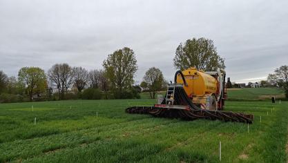 Drijfmestinjectie op wintertarwe in Herent op 11 april 2024.