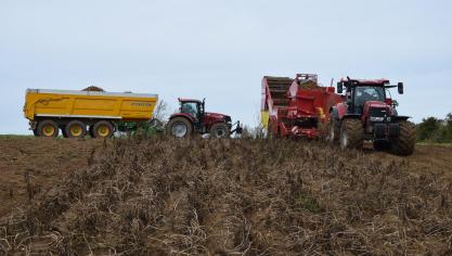 De NEPG stelt dat 2025 een aardappeljaar voor onzekerheden en risico’s wordt.