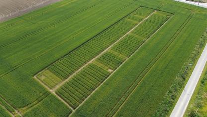 Overzicht van de  proefobjecten waar  biostimulanten  werden ingezet.