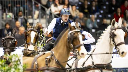 Dries Degrieck op weg naar een schitterende 2de plaats in de FEI Worldcup Driving 2024-2025.