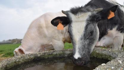 De geblokkeerde veebedrijven zullen niet de enige landbouwbedrijven zijn die in de toekomst met de PFAS-problematiek geconfronteerd zullen worden.