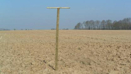 Het Bieteninstituut raadt aan zitstokken voor roofvogels te plaatsen.