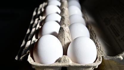 Eieren bleken de bron van de Salmonellahaard.