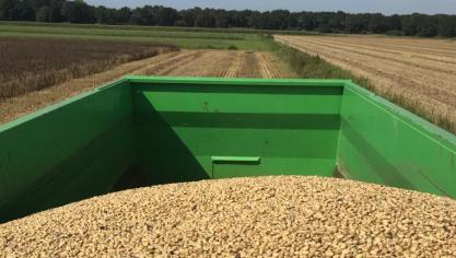 De huidige premie is net niet genoeg om de boeren met een gerust hart over de ‘eiwitstreep’ te trekken.