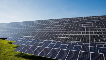 Projecten met zonnepanelen krijgen een ongunstig advies wanneer ze niet verenigbaar zijn met de agrarische bestemming van de percelen.