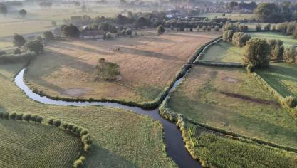 Het Grondwettelijk Hof is niet ingegaan op de vraag vanBoerenbond om het Vlaamse parkendecreet gedeeltelijk te vernietigen.