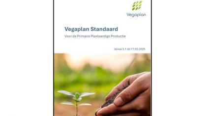 vegaplanj