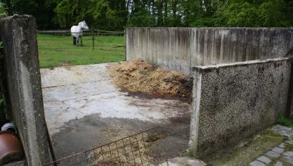 Het seizoen is aangebroken om de mestopslag leeg te halen. Informeer je over de afzet van paardenmest.