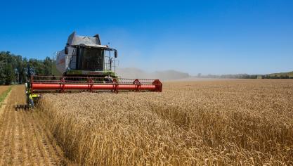Bijna een vijfde van de Belgen en Europeanen vinden dat landbouw en voedselveiligheid een prioriteit moeten zijn van het Europees Parlement.
