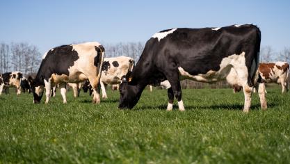 Met de Duurzaamheidsawards wil MilkBE waardering tonen voor de vele melkveehouders die elke dag bijdragen aan een duurzamere zuivelsector.