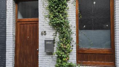 Het verwijderen van één tegel volstaat om het een klimplant – hier de groenblijvende Toscaanse jasmijn – naar de zin te maken.