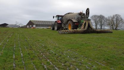 Uit kunstmest met ammonium of ureum en uit dierlijke mest kan stikstof verloren gaan via ammoniakvervluchtiging. Dat verlies heb je liever niet.