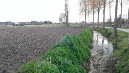 Als je een perceel met een nitraatgevoelige hoofdteelt in gebiedstype 2 of 3 langs een waterloop hebt, moet je dit jaar een beschermingsstrook van 5 m met een niet-nitraatgevoelige hoofdteelt of spontane vegetatie aanleggen.