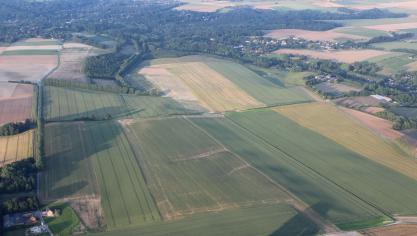 De Vlaamse regering herziet de maximale rentabiliteitsoppervlakten ten minste om de 5 jaar en legt ze in elke provincie vast volgens de landbouwstreken.
