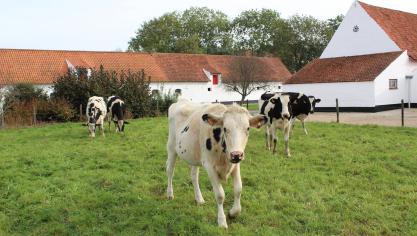 We willen beweiden werkbaar maken, want daar heb ik ook wel een aantal zorgen rond gehoord die bij mij de wenkbrauwen deden fronsen”, zegt minister Brouns.