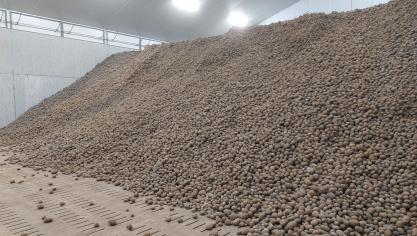 Op 1 april lagen er nog 1,82 miljoen ton aardappelen in voorraad in ons land.