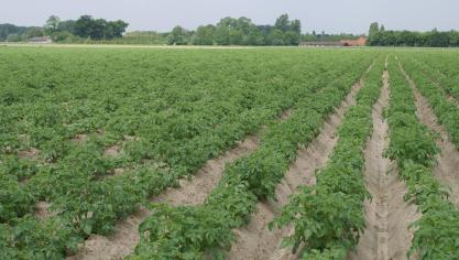 De afgelopen 6 maanden hebben land- en tuinbouwers in Vlaanderenminder belemmeringen ervaren.