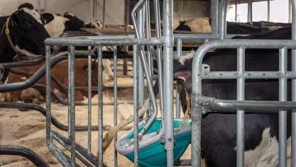 Het CowToilet voorkomt emissie nog vóórdat die ontstaat.