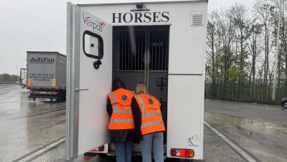 Het FAVV controleerde 58 transporten, waaronder 10 paardentransporten.